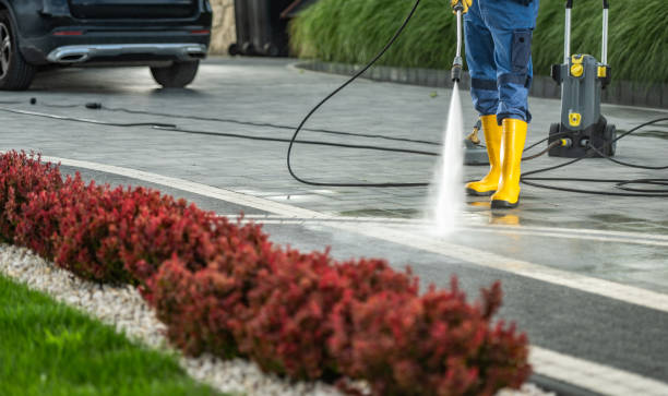 Professional Pressure Washing Services in Lincoln, AL